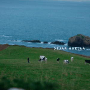 campaña Central Lechera Asturiana (1)