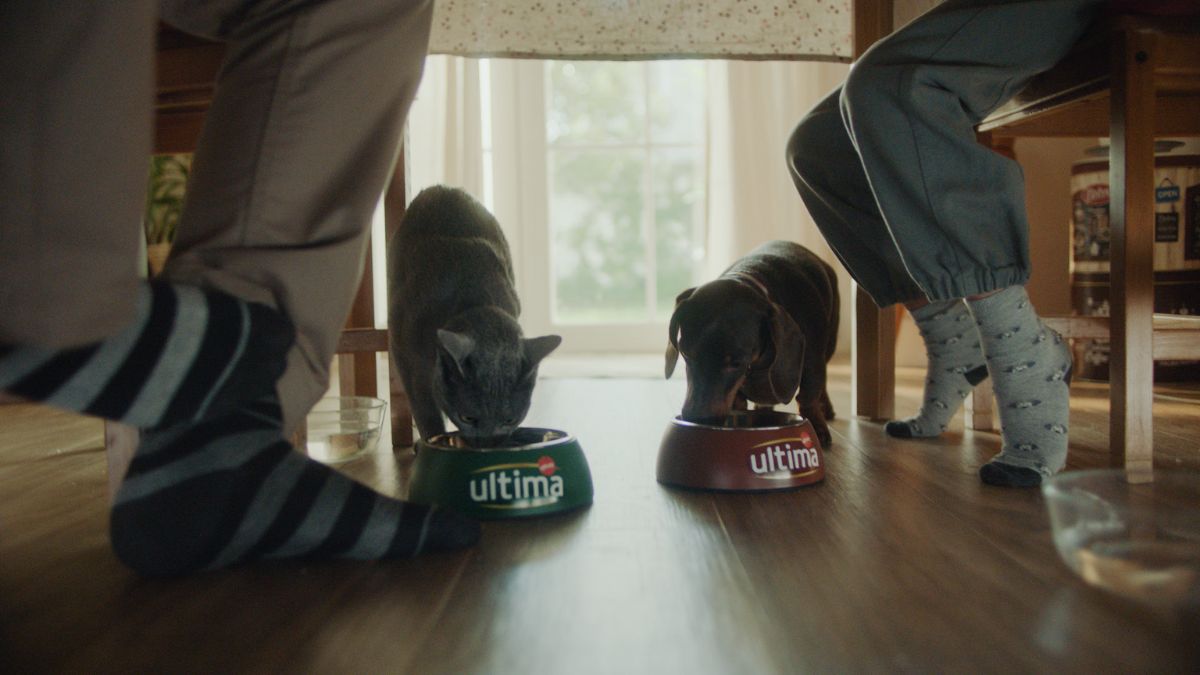 Ultima reivindica el amor incondicional entre las personas y sus perros y gatos en su última campaña Amor animal