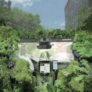 Cabify convierte sus vehículos en un bosque sobre ruedas para agradecer a quienes eligen moverse cuidando el planeta