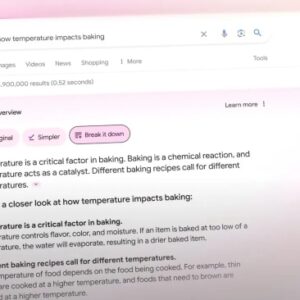 Google AI Overviews