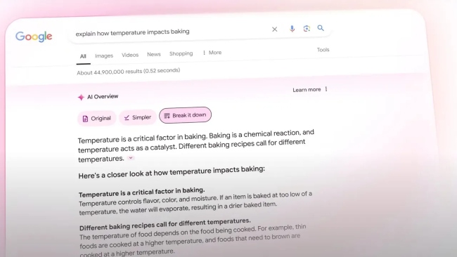 Google AI Overviews