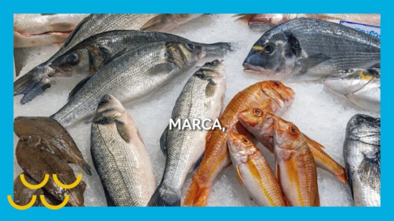 Menos branding, más felicidad: así es ‘La marca que importa’, la nueva campaña de Pesca España