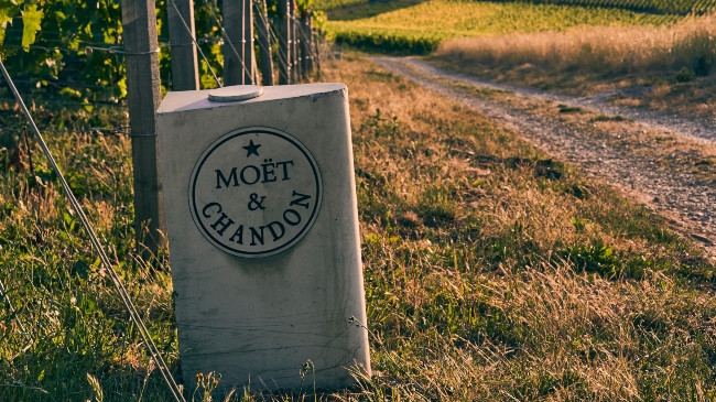 Moët & Chandon