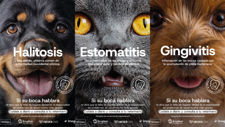 “Si su boca hablara”, una campaña de Normmal sobre la salud bucodental de las mascotas