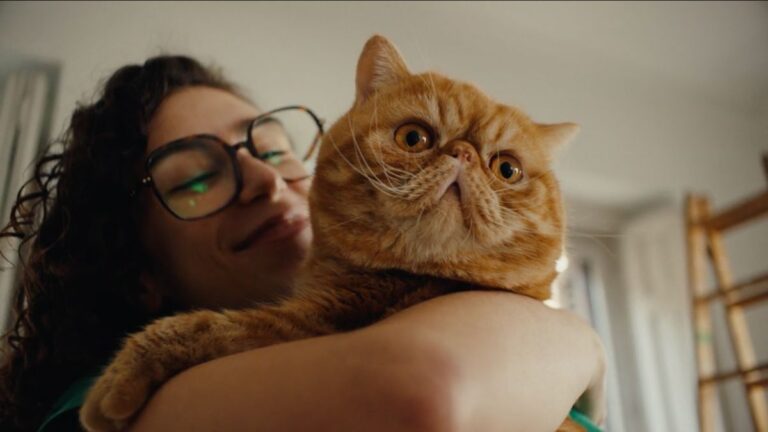 MAPFRE lanza su nueva campaña de seguros de hogar “Vamos donde vas”