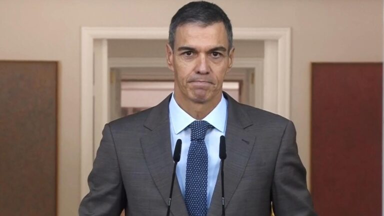 Pedro Sánchez - Elecciones